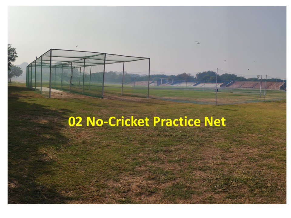 University Practice Nets